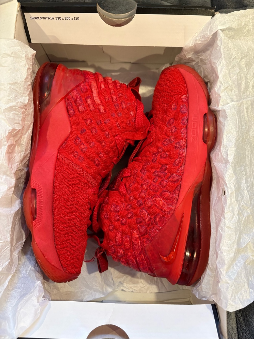 Nike Lebron XVII 17 "Red Carpet" BQ3177-600 Youth size 4 US